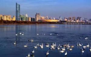 三門峽又一網(wǎng)紅景點(diǎn)，確定不來(lái)pick一下？